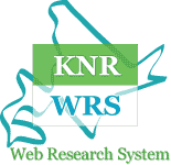 Web Research System